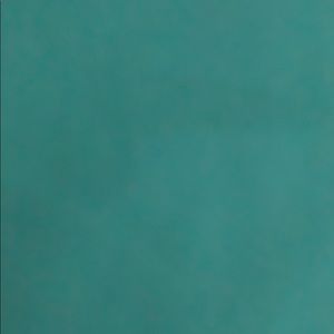 Meet your Posher, Leyna